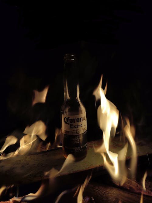 impact of alcohol