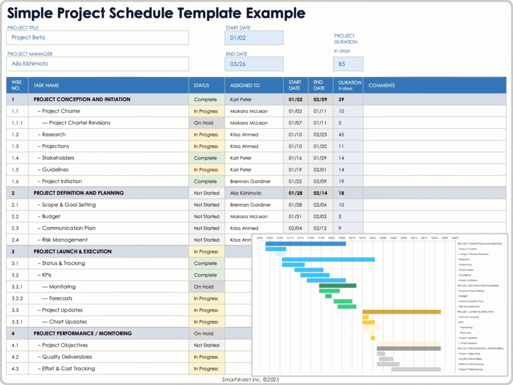 Check Release Timing and PDF Access Instructions